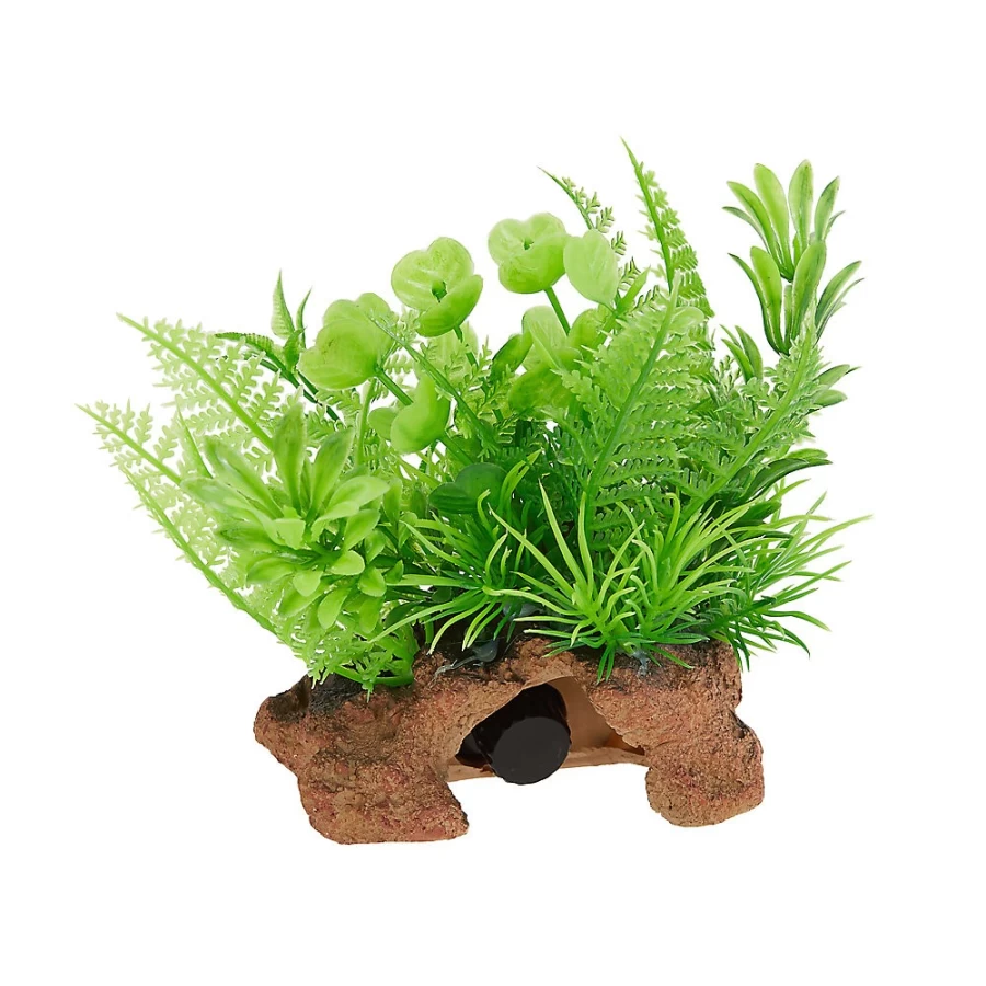 PetSmart Top Fin Aquarium Thermometer with Natural Plant Design for Fish Tanks