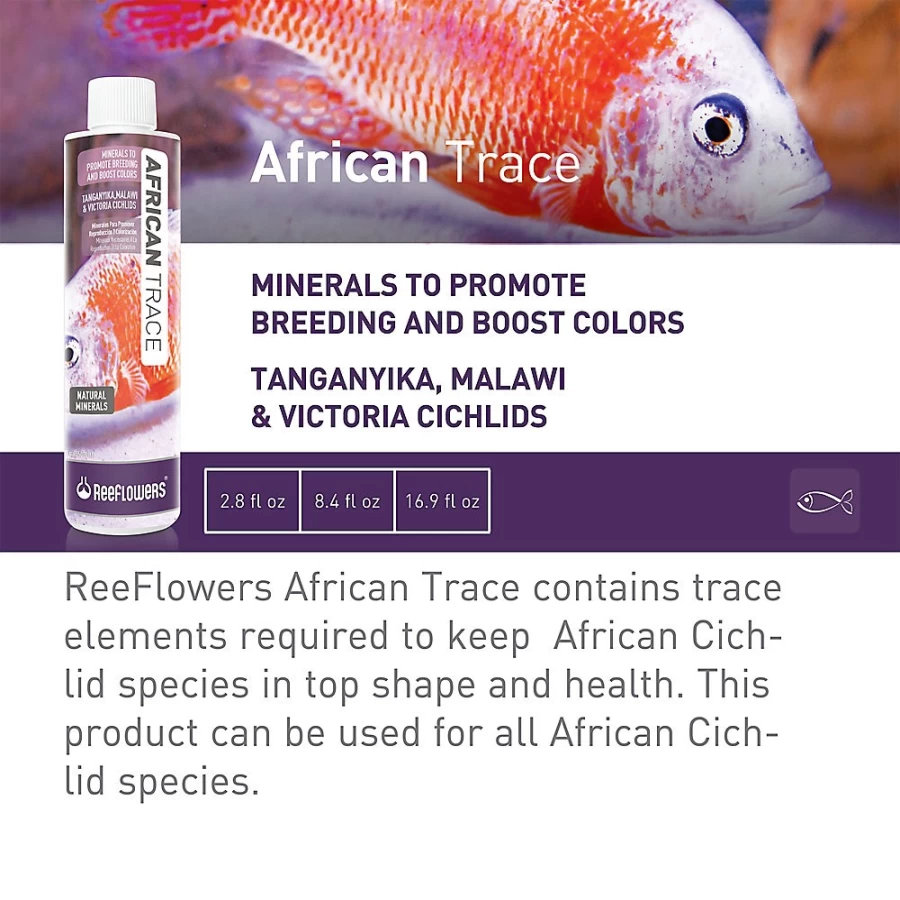 PetSmart CobaltTrade African Trace Pet Supplies - Durable & Stylish Pet Accessories
