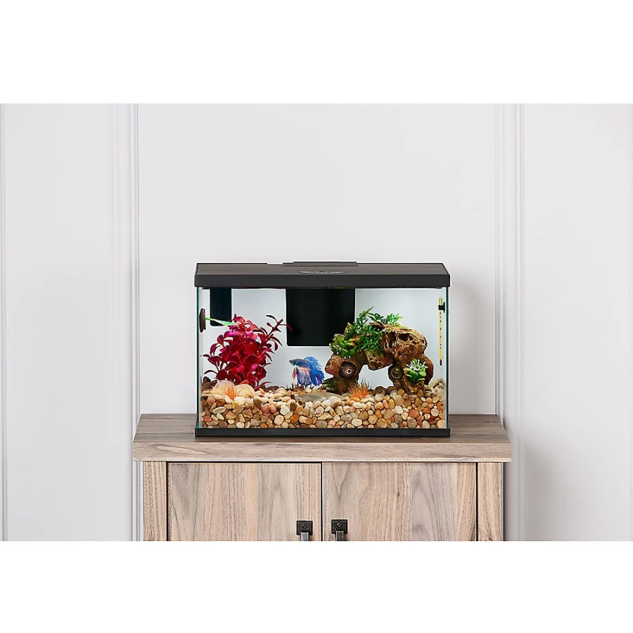 PetSmart Top Fin 3 Gallon Betta Fish Tank Starter Kit - All-in-One Aquarium Set for Beginners