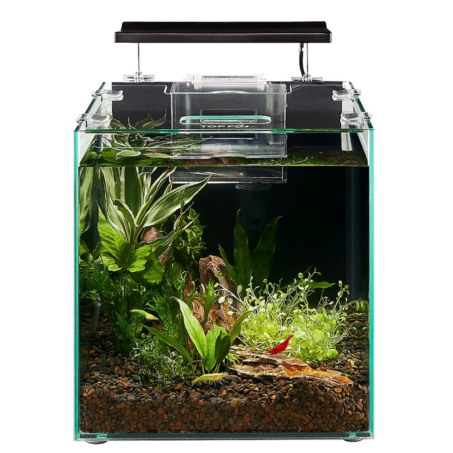PetSmart Top Fin Shrimp & Plant Oasis Aquarium Kit - 3 Gallon Nano Tank for Freshwater Shrimp & Live Plants