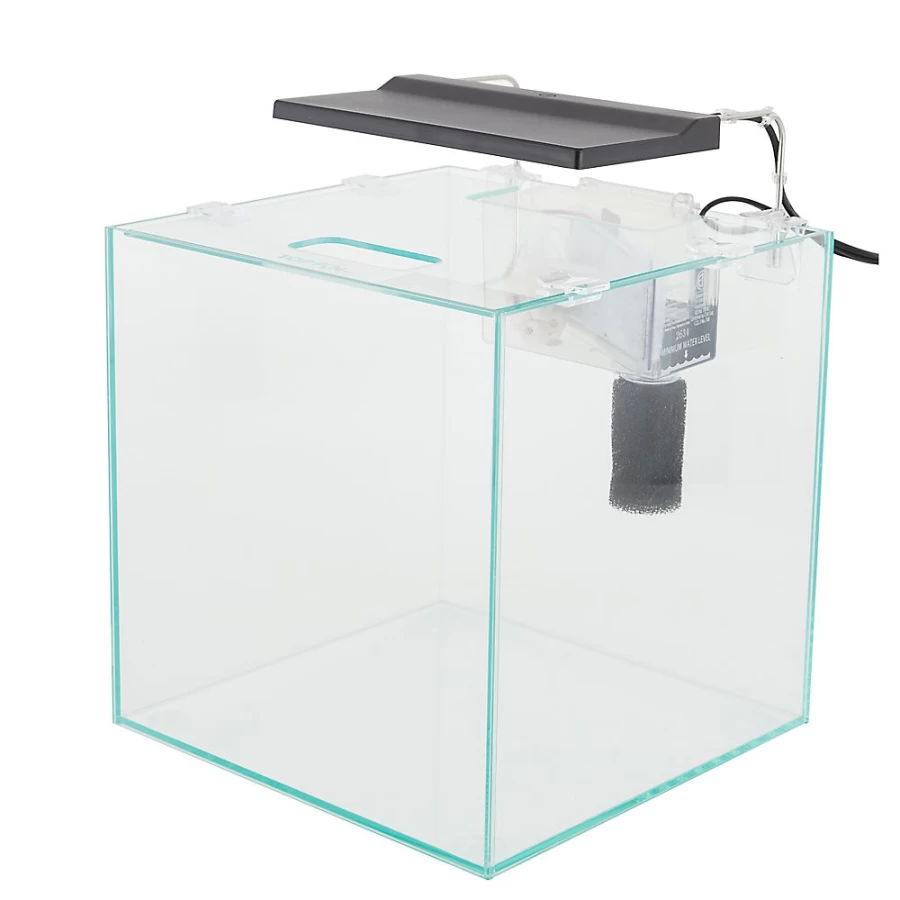 PetSmart Top Fin Shrimp & Plant Oasis Aquarium Kit - 3 Gallon Nano Tank for Freshwater Shrimp & Live Plants