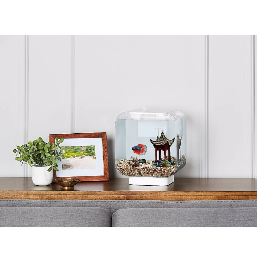 PetSmart Top Fin 3 Gallon Clear Vivid View Aquarium Tank for Fish – Crystal Clear Design