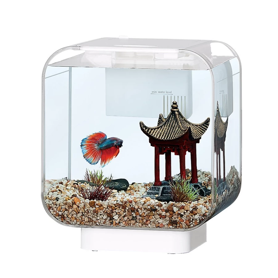 PetSmart Top Fin 3 Gallon Clear Vivid View Aquarium Tank for Fish – Crystal Clear Design