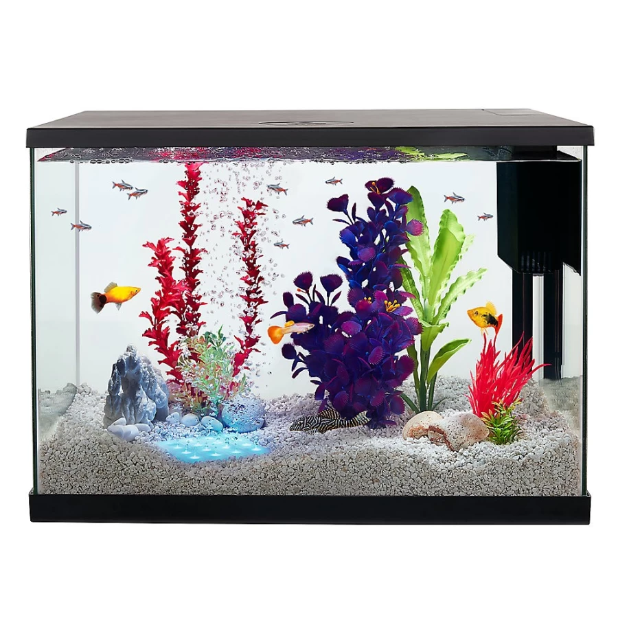 PetSmart Top Fin Let's Party Aquarium Bubbler & Decorative Ornament for Fish Tanks