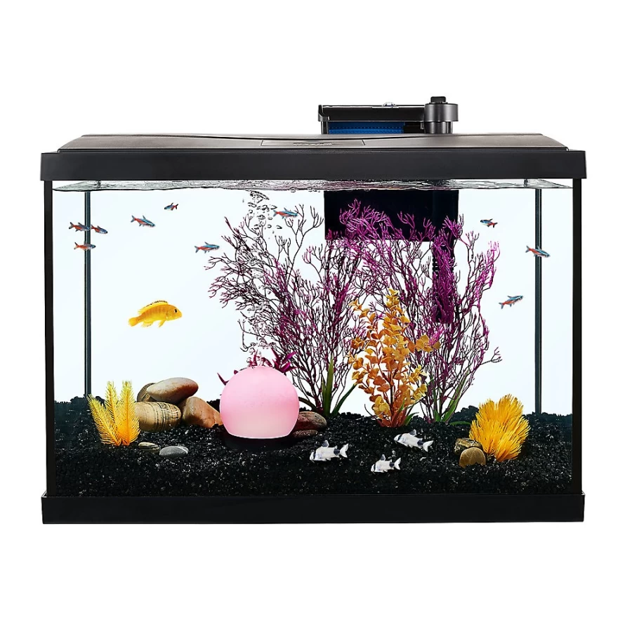 PetSmart Top Fin See The Future Aquarium Bubbler & Decorative Ornament for Fish Tanks