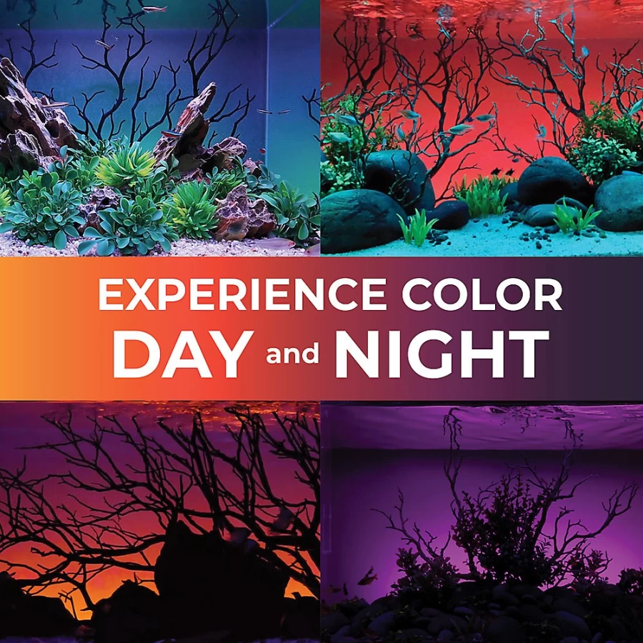 PetSmart Current USA ColorCast Accent LED Light for Aquariums – Energy-Efficient RGB Color Enhancing Lighting