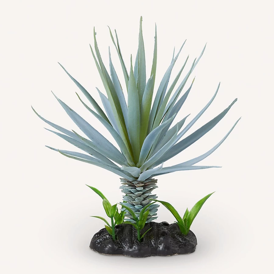 PetSmart NateJeremiah Blue Agave Succulent Plant for Reptile Terrarium & Aquarium Decor - 7.5 Inch Artificial Desert Landscape