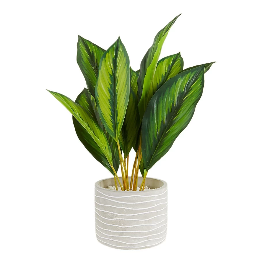 PetSmart Top Fin Artificial Aquarium Plant - Realistic Grey Pot Decor for Fish Tanks