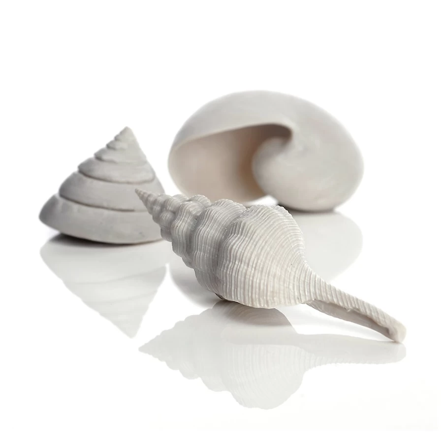 PetSmart biOrb Sea Shell Aquarium Decorations - 3 Piece Set for Fish Tank