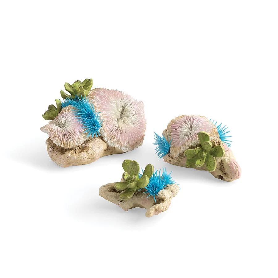 PetSmart biOrb Plate Corals & Button Polyps Saltwater Aquarium Decor - 3 Piece Set for Reef Tanks