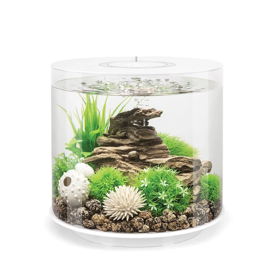 PetSmart biOrb TUBE 15 LED Aquarium Kit - 4 Gallon Cylinder Fish Tank with Modern Lighting