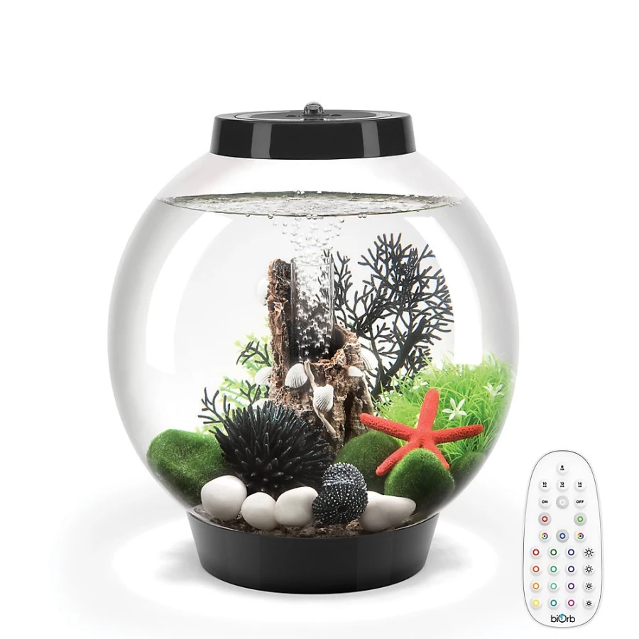 PetSmart biOrb CLASSIC 15 LED Aquarium Kit - 4 Gallon with Multi-Color Lighting for Fish Tanks
