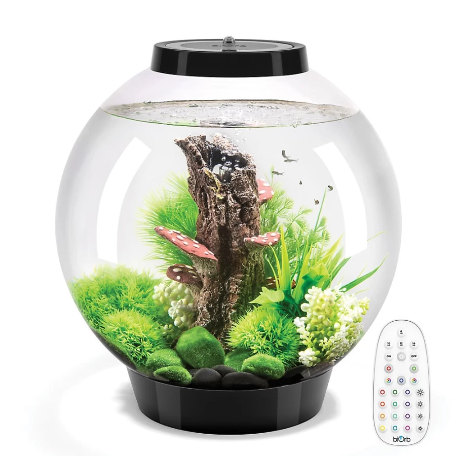 PetSmart biOrb CLASSIC 30 LED Aquarium Kit - 8 Gallon Multi-Color Lighting for Fish Tank