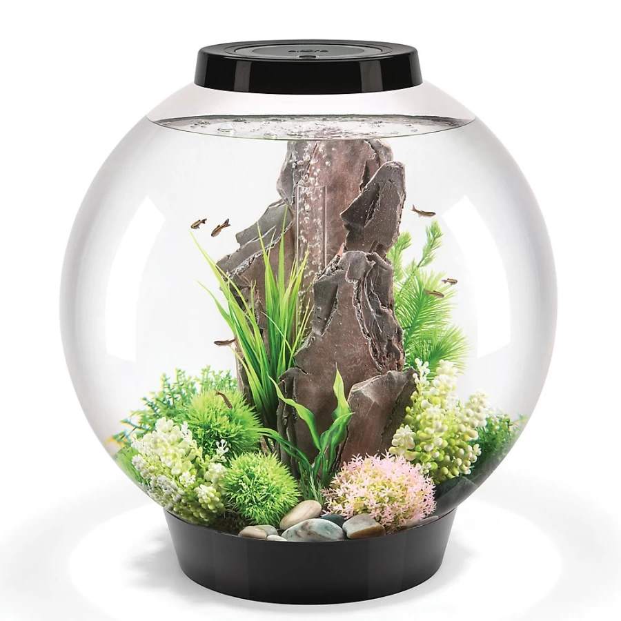 PetSmart biOrb CLASSIC 60 LED Aquarium - 16 Gallon Fish Tank with Modern Design