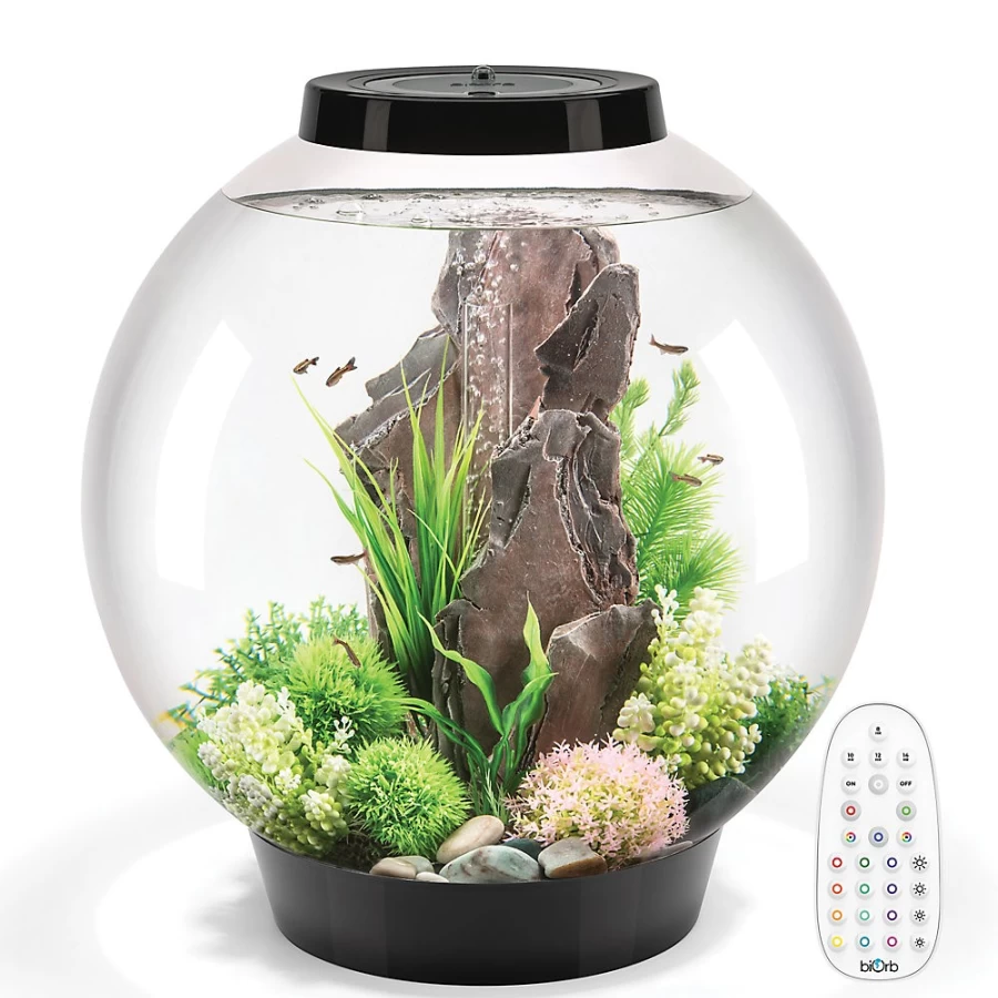 PetSmart biOrb CLASSIC 60 LED Aquarium Kit - 16 Gallon with Multi-Color Lighting