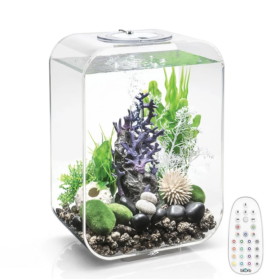 PetSmart biOrb LIFE 15 LED Aquarium Kit - 4 Gallon with Multi-Color Lighting for Vibrant Fish Habitat