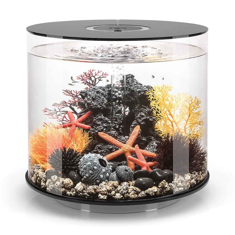 biOrb TUBE 35 LED Aquarium Kit - 9.2 Gallon Cylinder Fish Tank with LED Lighting | PetSmart